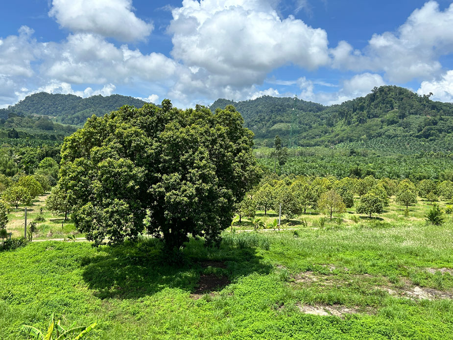 kokotel-isara-casa-1