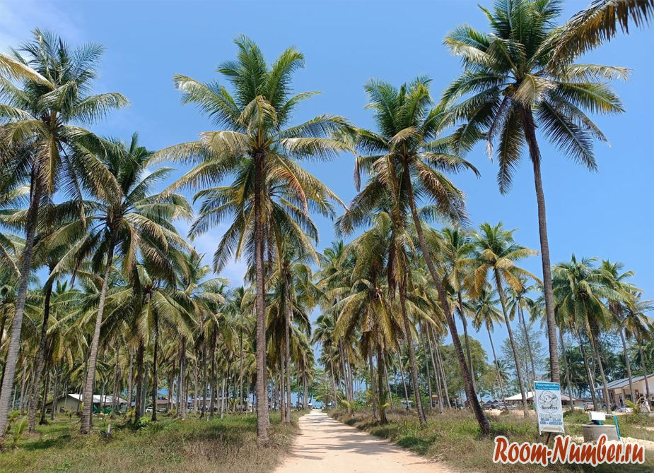 krabi-kao-lak-7